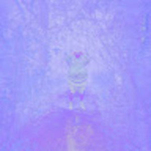 Meet your Posher, Nickgripatit